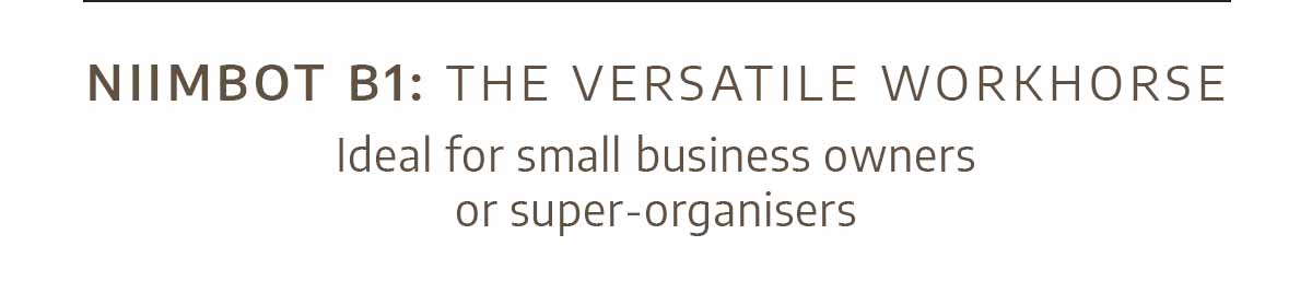 NIIMBOT B1: The Versatile Workhorse - Ideal for small business owners or super-organisers
