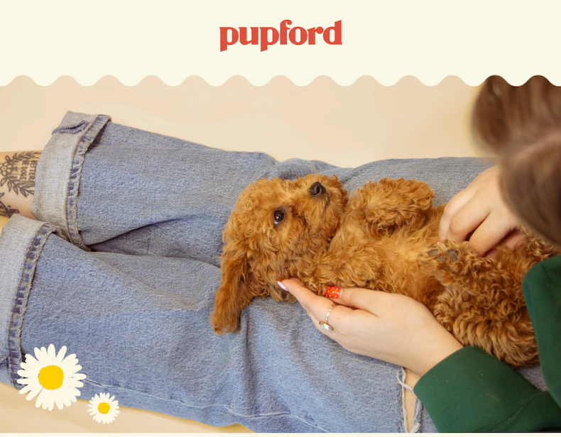 A mother's day gift for dog moms