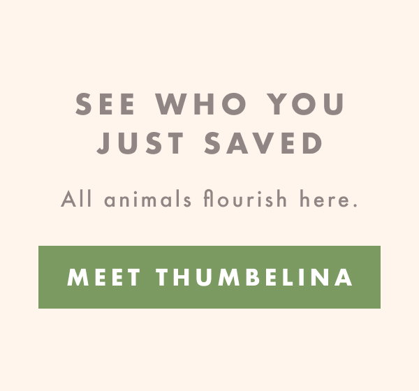 See Who You Just Saved