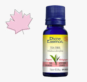 Divine-Essence_Canadian