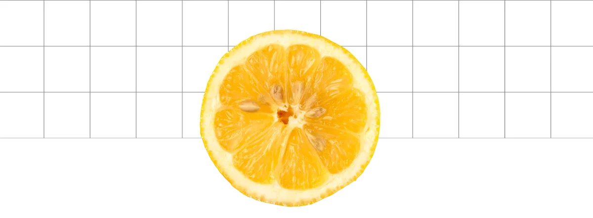 Lemon slice