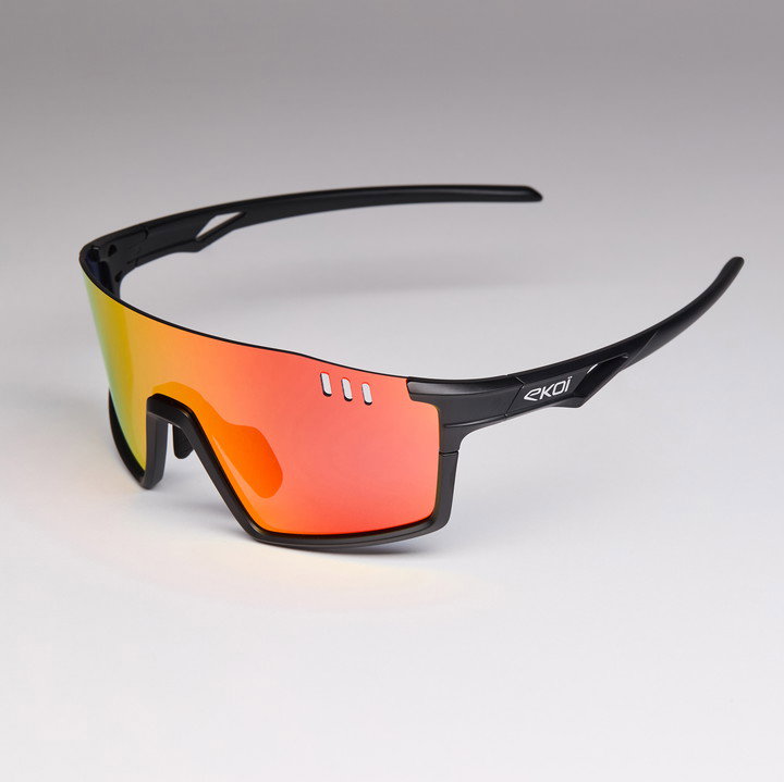 Vision Sunglasses