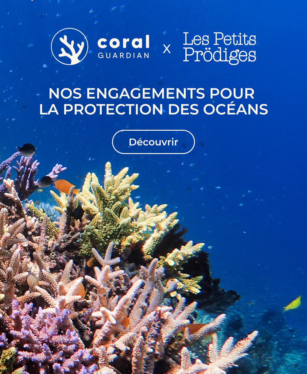 Chargement en cours...