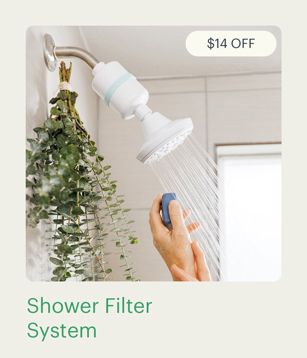 Shower Filter System