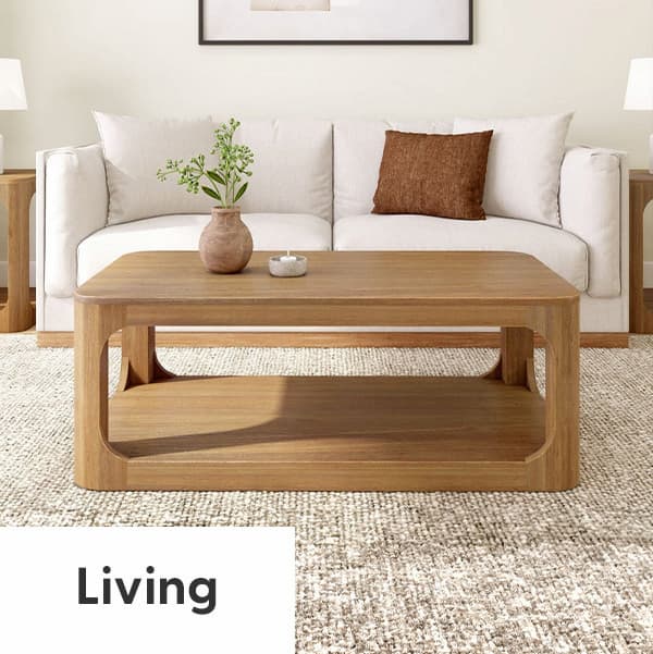 Shop Living Room