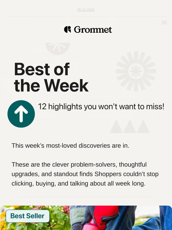 🌟 This week’s most-loved discoveries