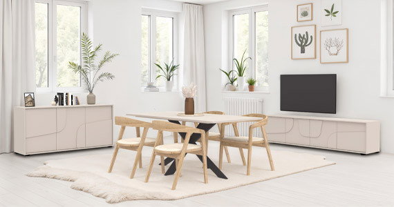 MEUBLE DE SALON