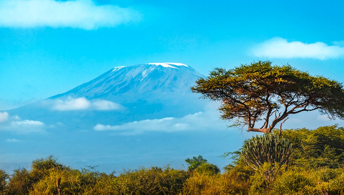 Immersion en Tanzanie