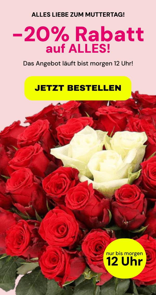 20 Prozent auf ALLES