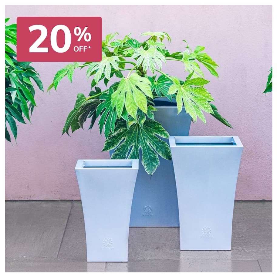 Silver Zinc Flared Square Planter