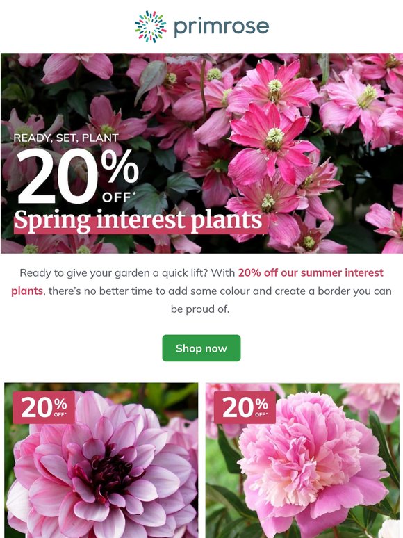 Save 20% on summer interest plants 🌼