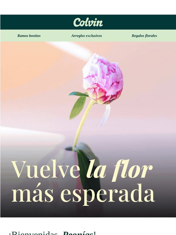Las peonías ya están aquí 🩷