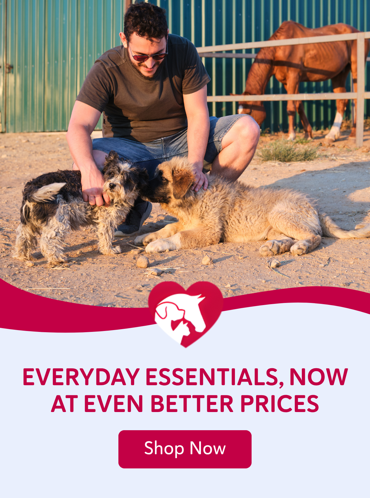  Image Details Everyday essentials, now at even better prices- SHOP NOW