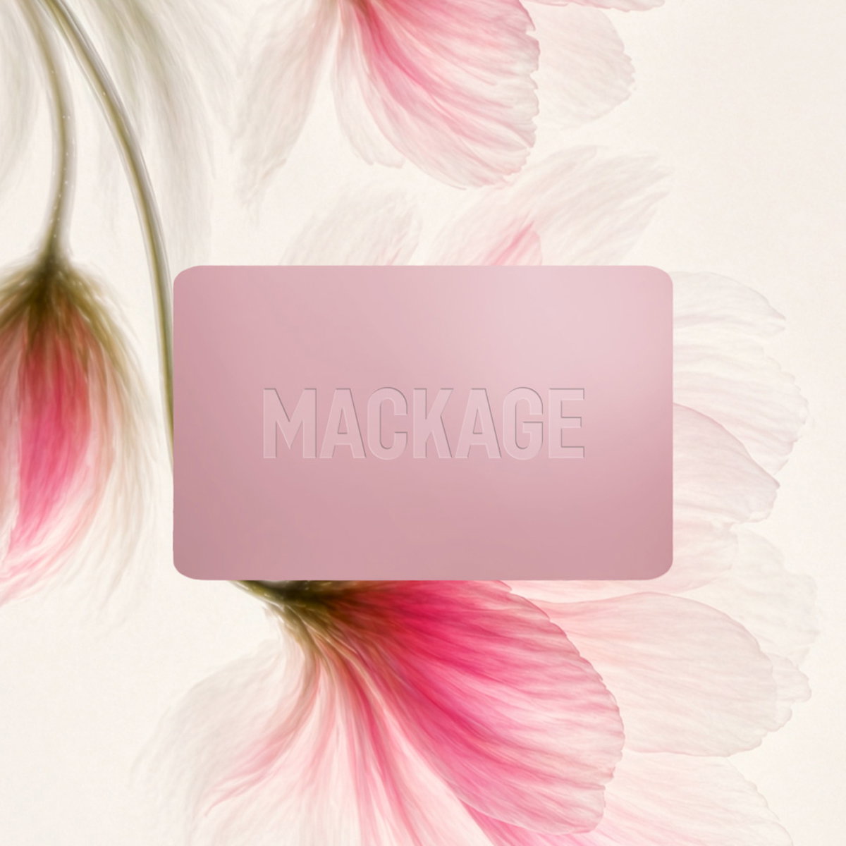 Discover Gift Card