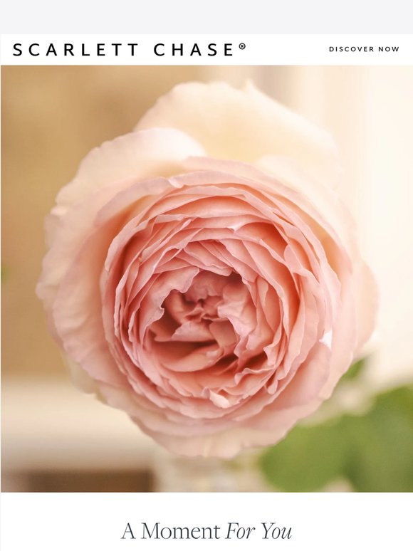 For the Mom in All of Us