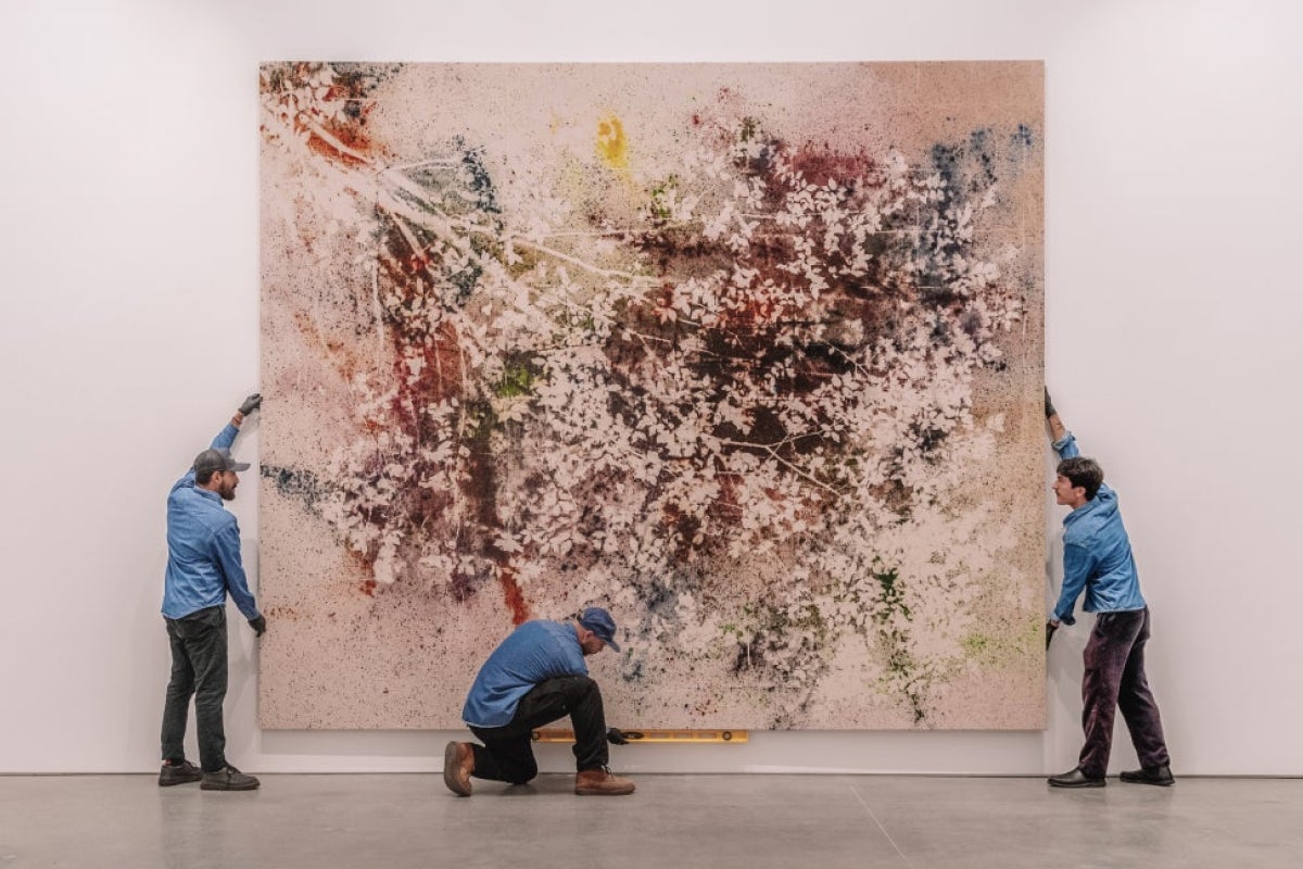 6 Ways Avid Collectors Ship, Store and Display Their Art