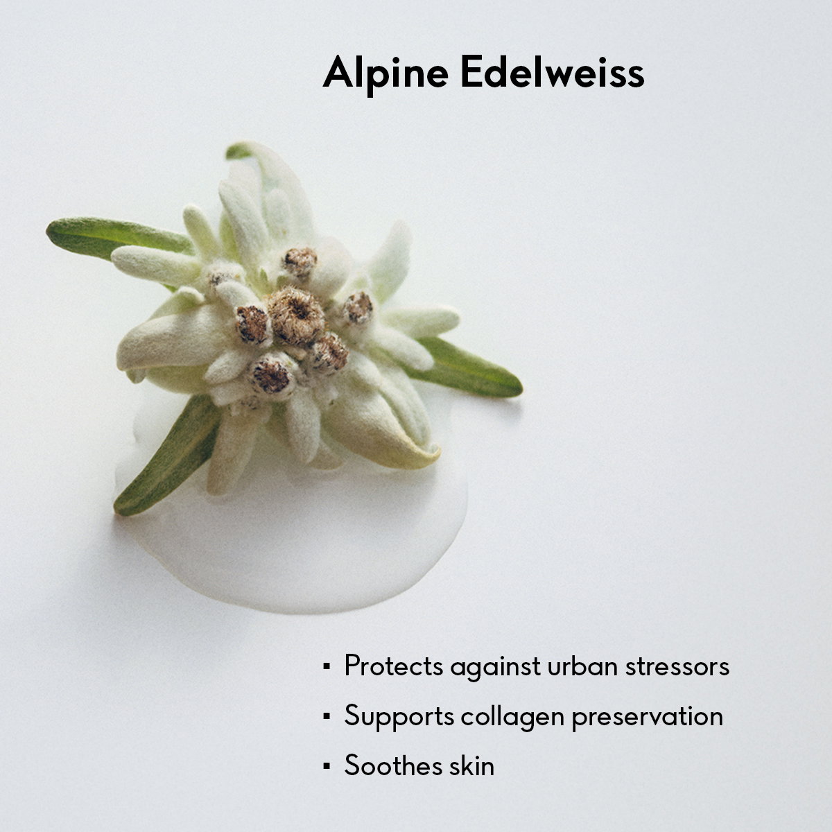 Advanced Anti-Ageing Light Cream