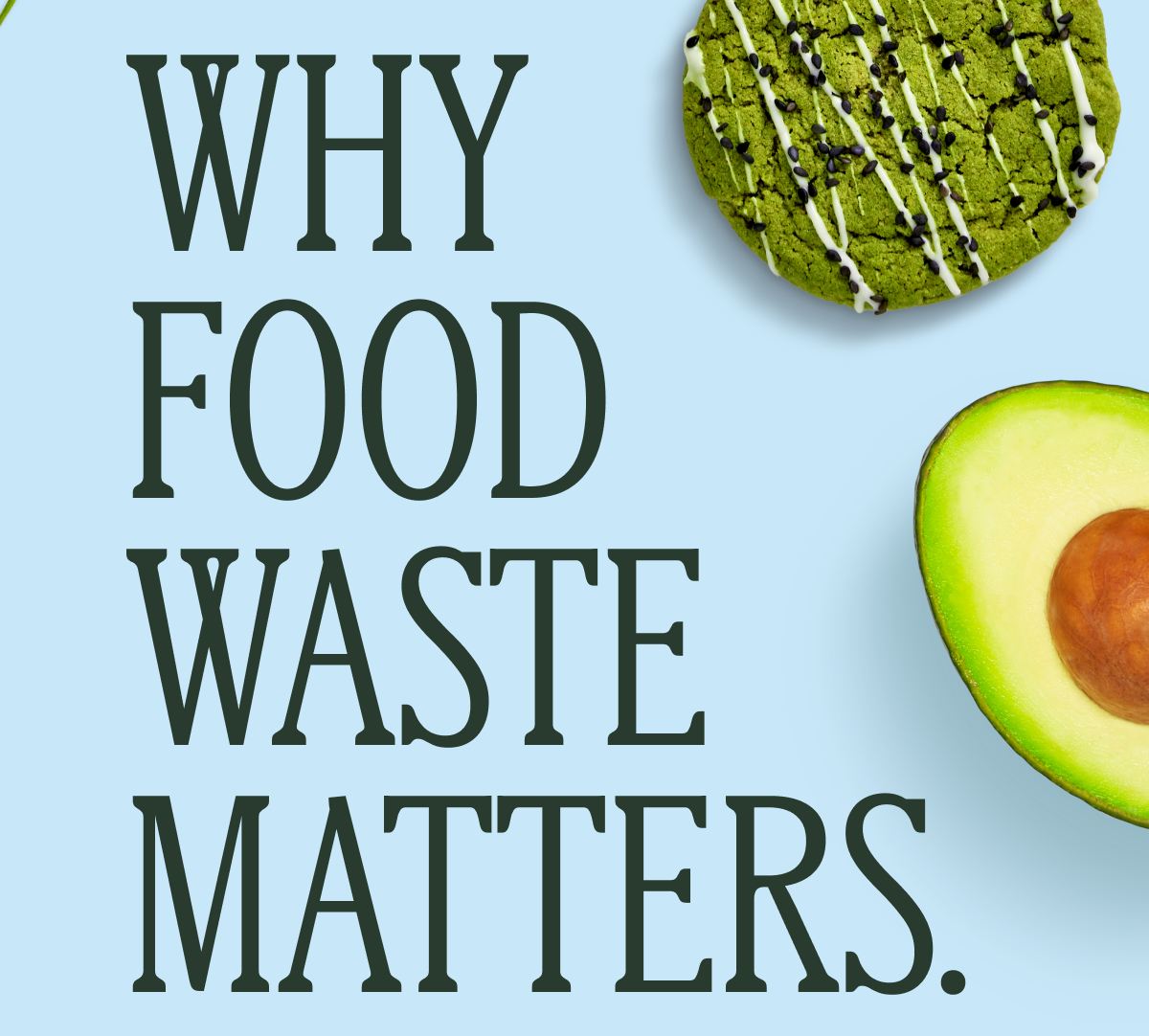 WHY FOOD WASTE MATTERS