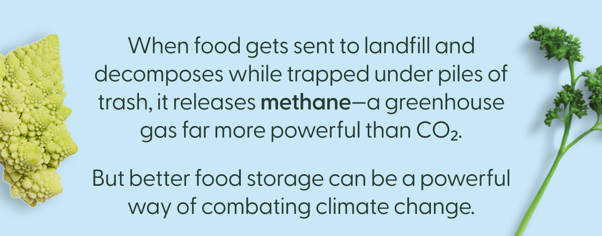 when food gets sent to landfill and decomposes while trapped under piles of trash, it releases methan - a greenhouse gas far more powerful than CO2 but better food sotrage can be a powerful way of combating climate change.