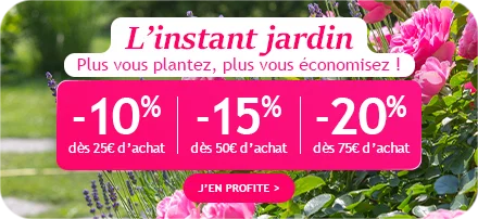 L'instant jardin