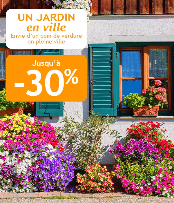 Un jardin en vile jusqu'à -30%