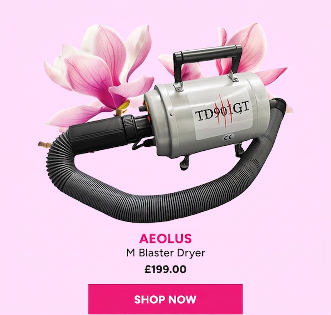 Aeolus M Blaster Dryer for sale at £199.00.