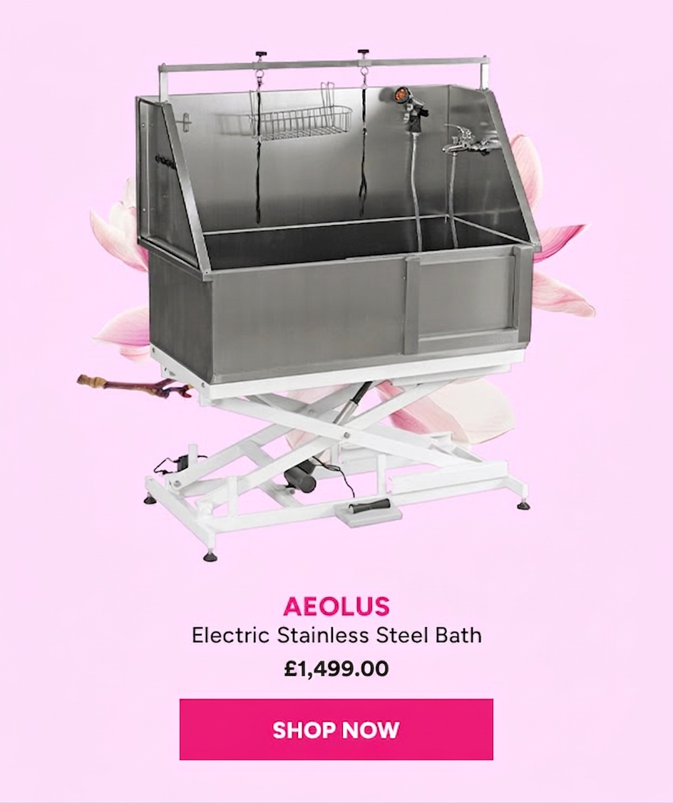 AEOLUS Electric Stainless Steel Bath for £1,499.00.