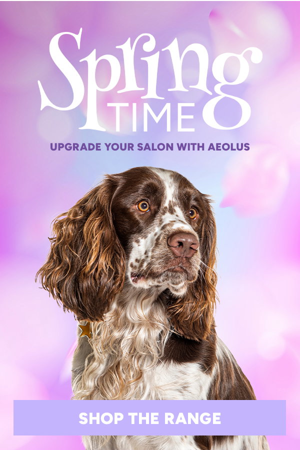 Spring Time: Upgrade your Salon with Aeolus