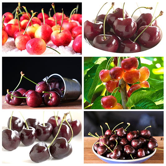 Fresh Cherry Sextet