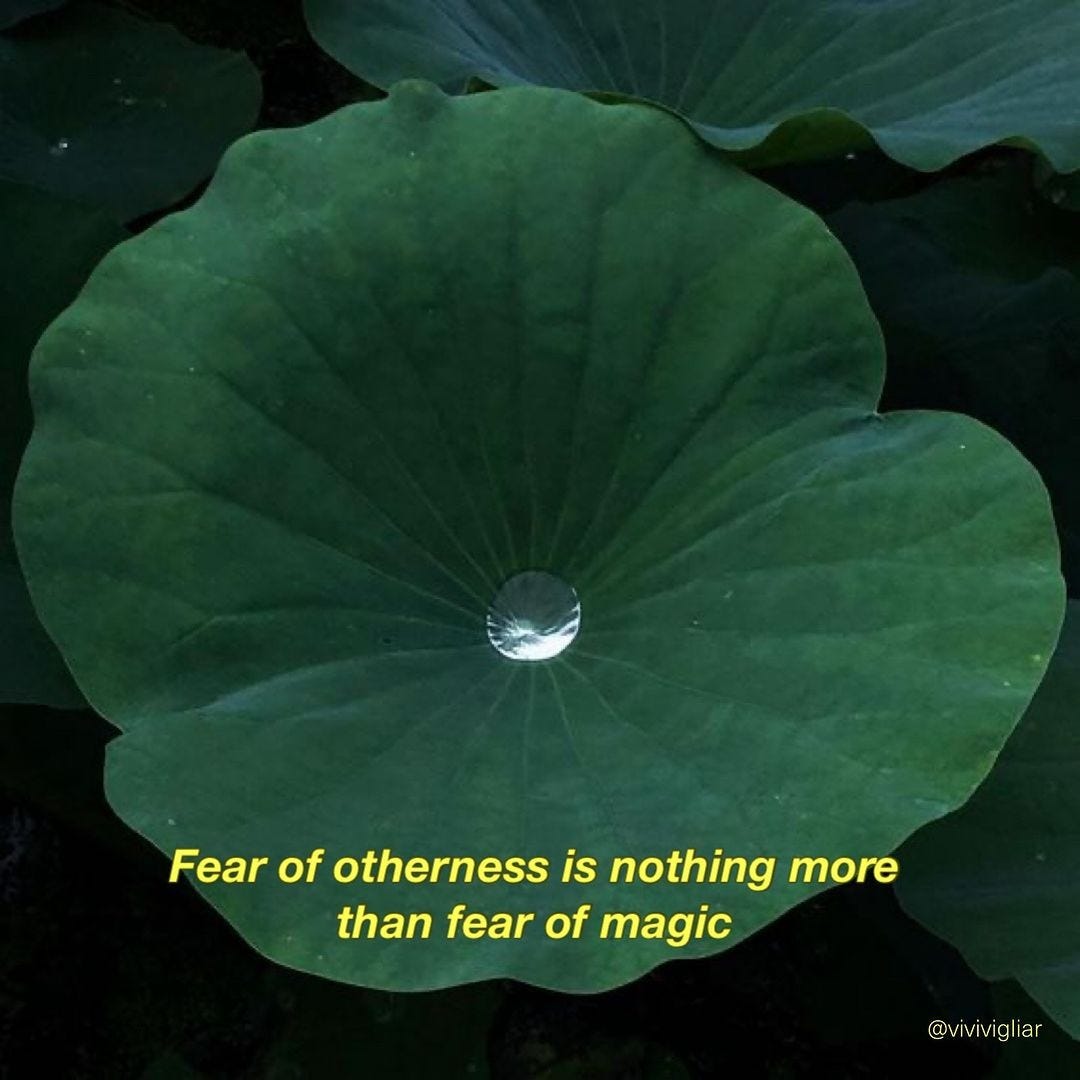 An image uploaded by advaya | your home for transformative learning on Jun 17, 2024.