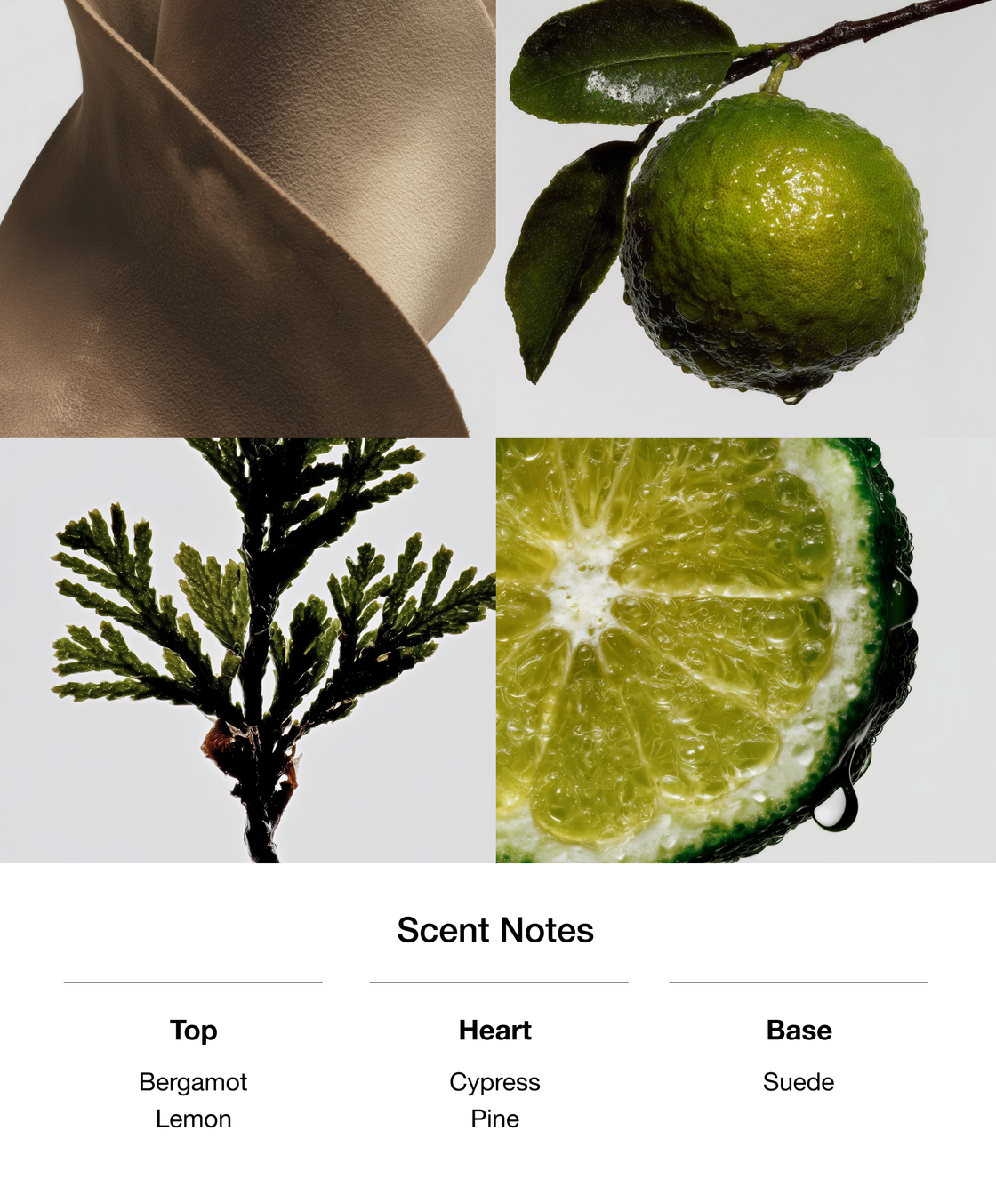 Scent Notes