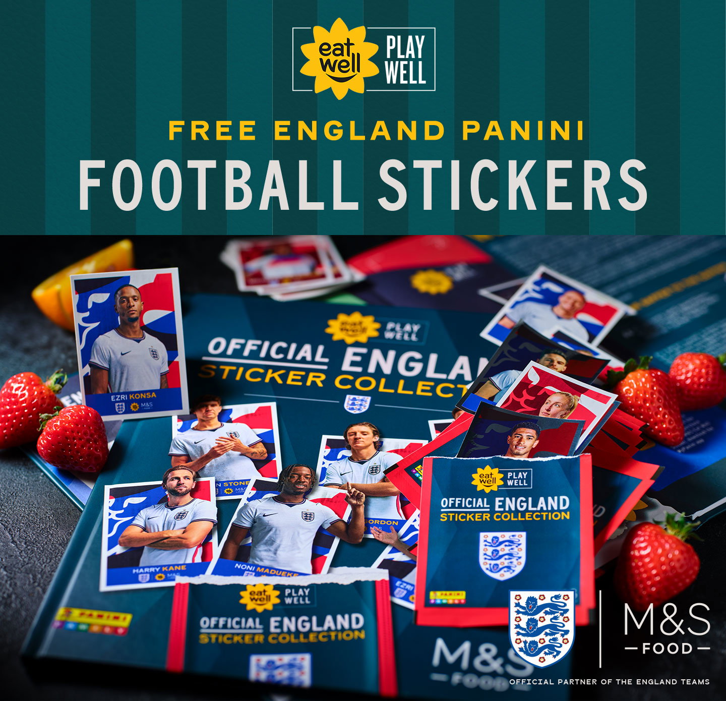 Free panini football stickers