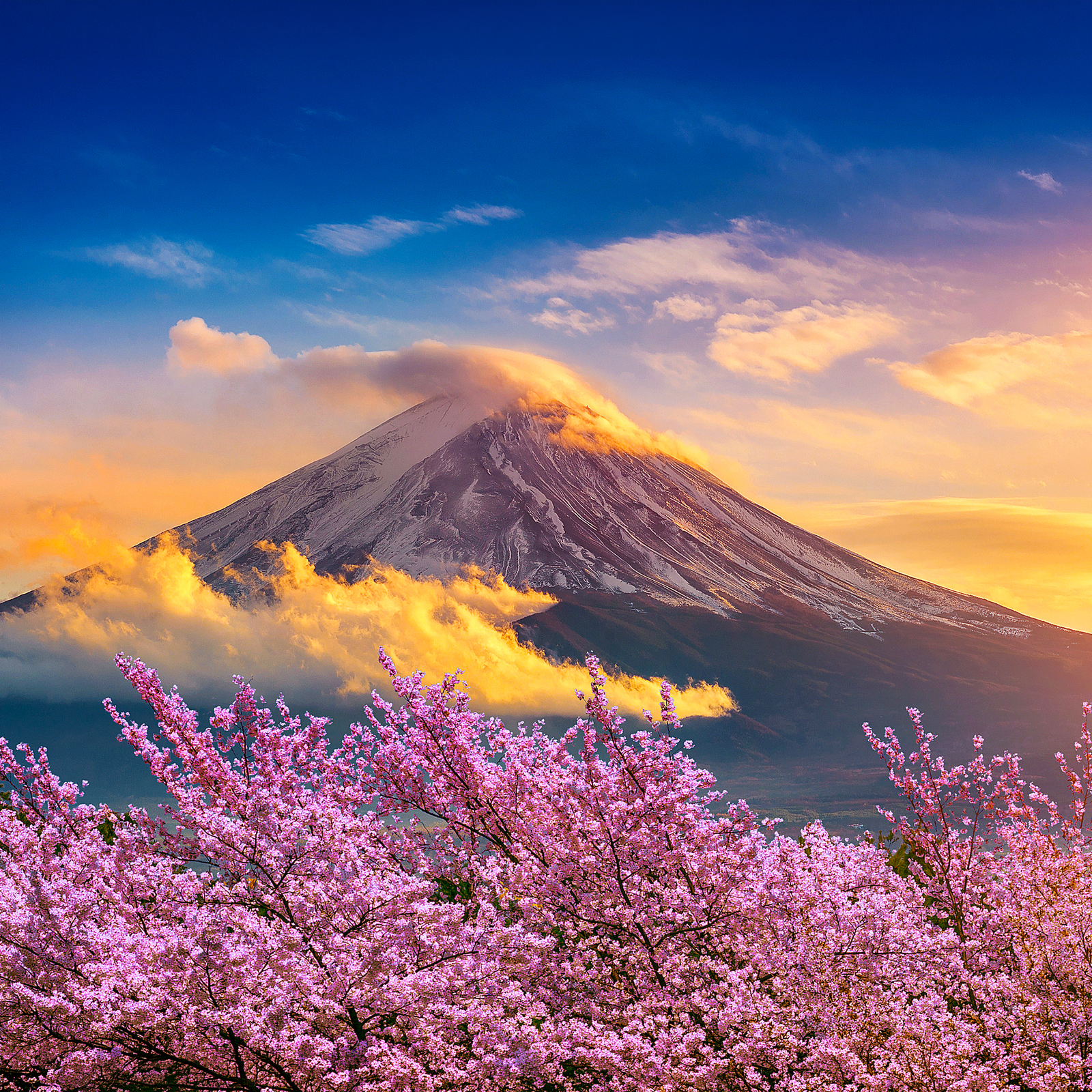 Mount Fuji