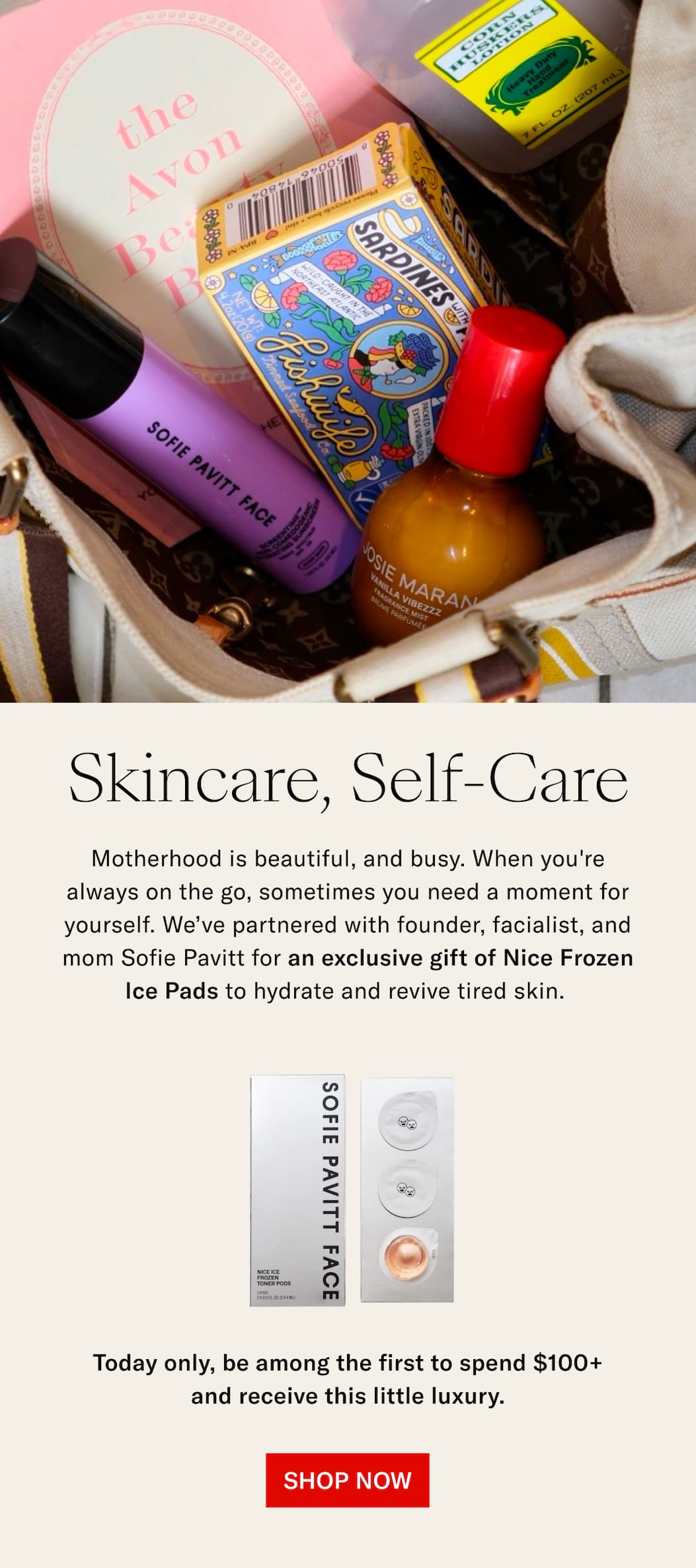 Today only: Sofie Pavitt Nice Frozen Ice Pads with $100+