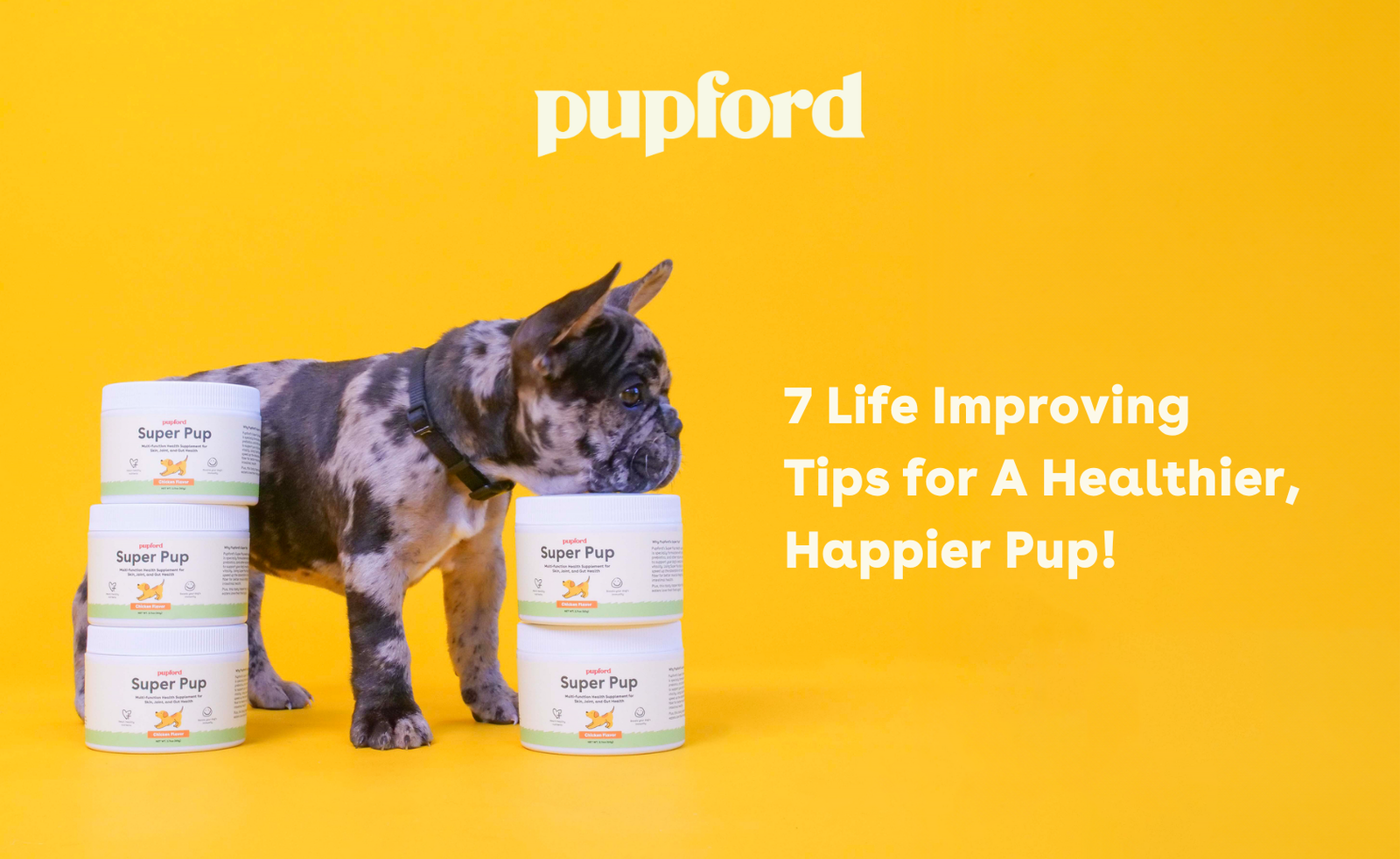 Pupford Logo