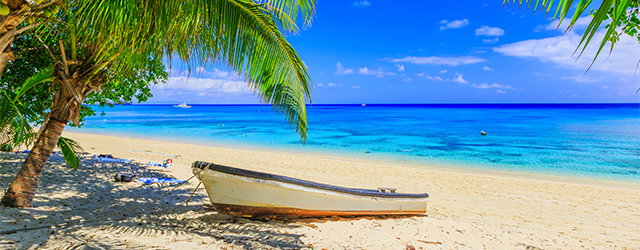 Fiji & New Zealand
