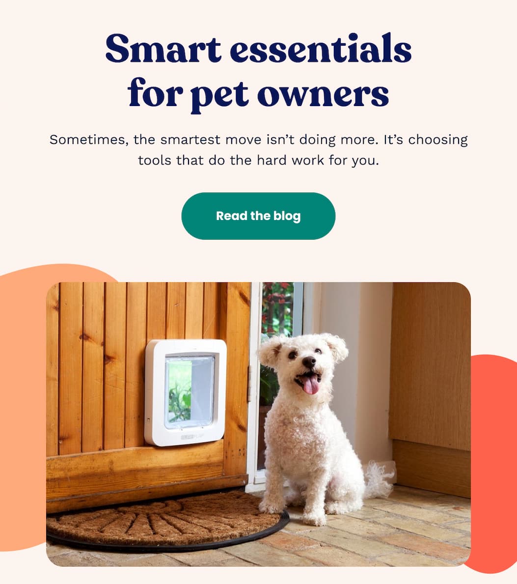 Smart essentials for pet owners
