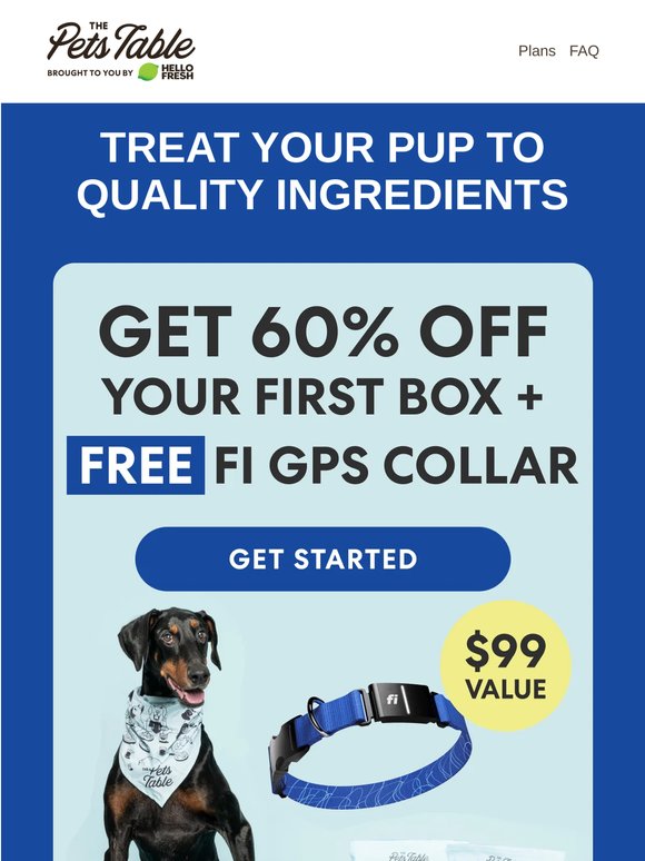 A FREE Fi GPS collar awaits your pup!