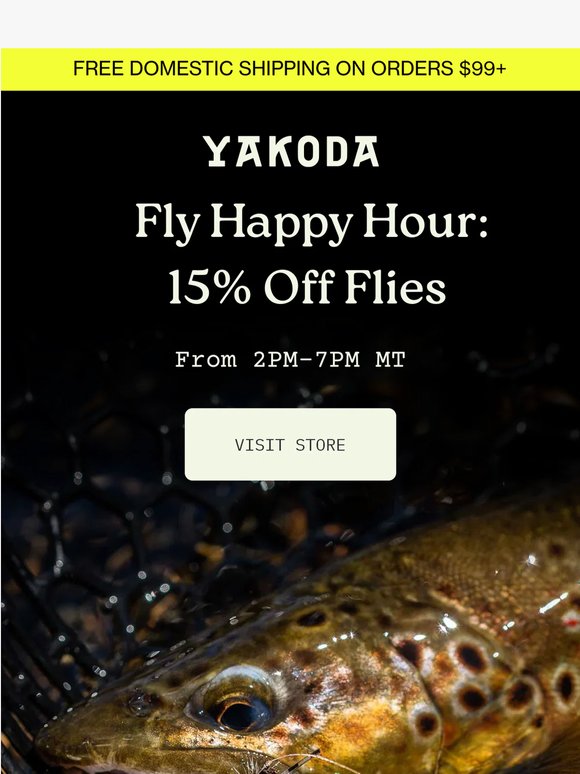 Virtual Fly Happy Hour Today | 15% Off Flies