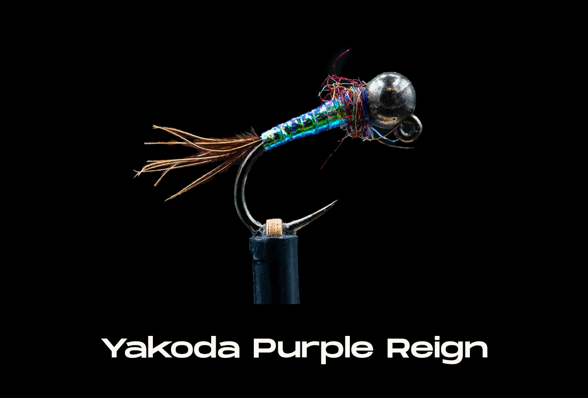 Yakoda Purple Reign (3-Pack)