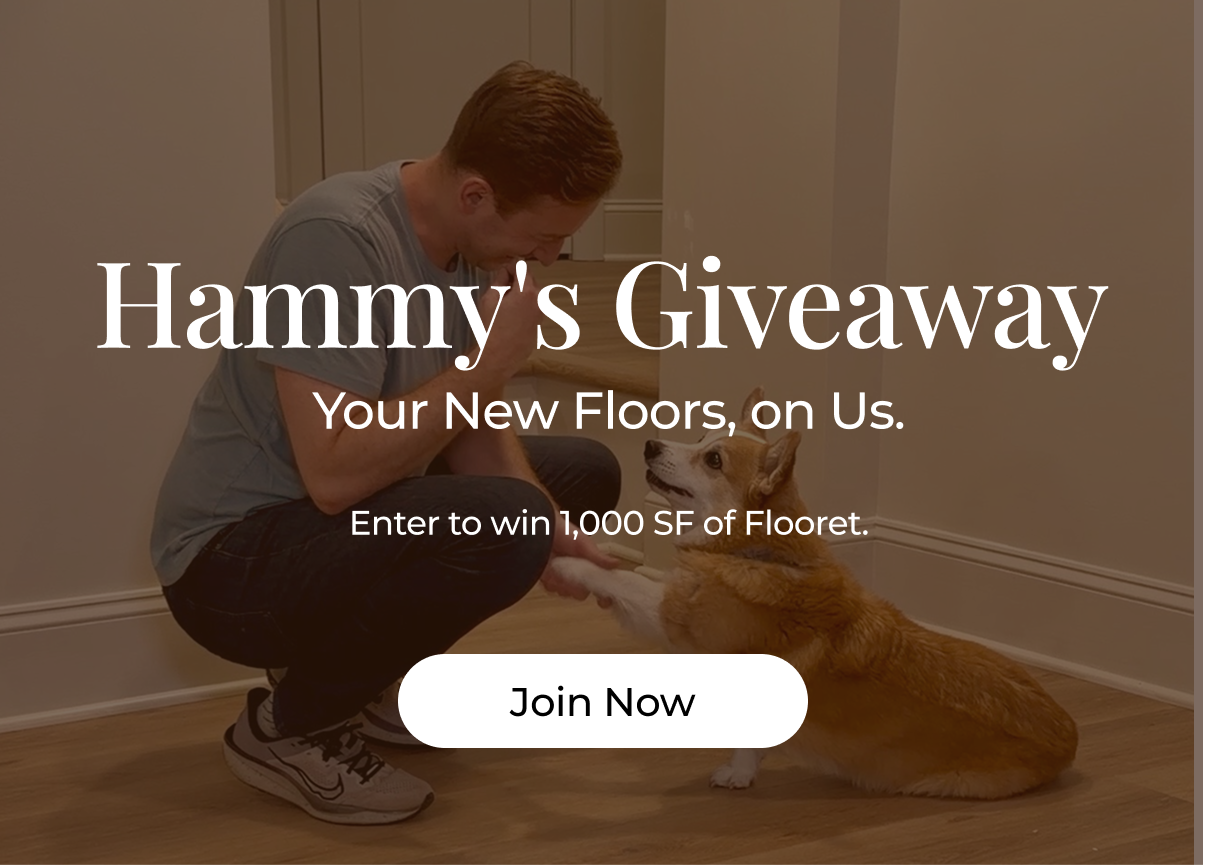 Hammy's Giveaway. Your new floors, on us. 