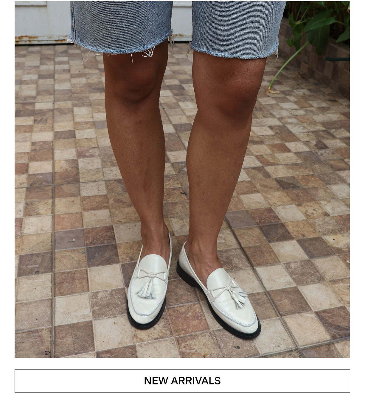 New arrivals