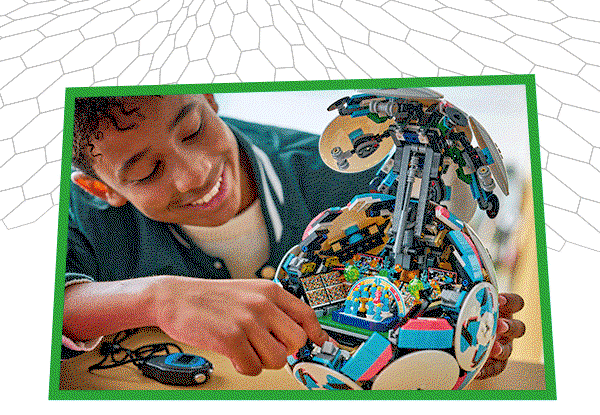 LEGO® Editions Football