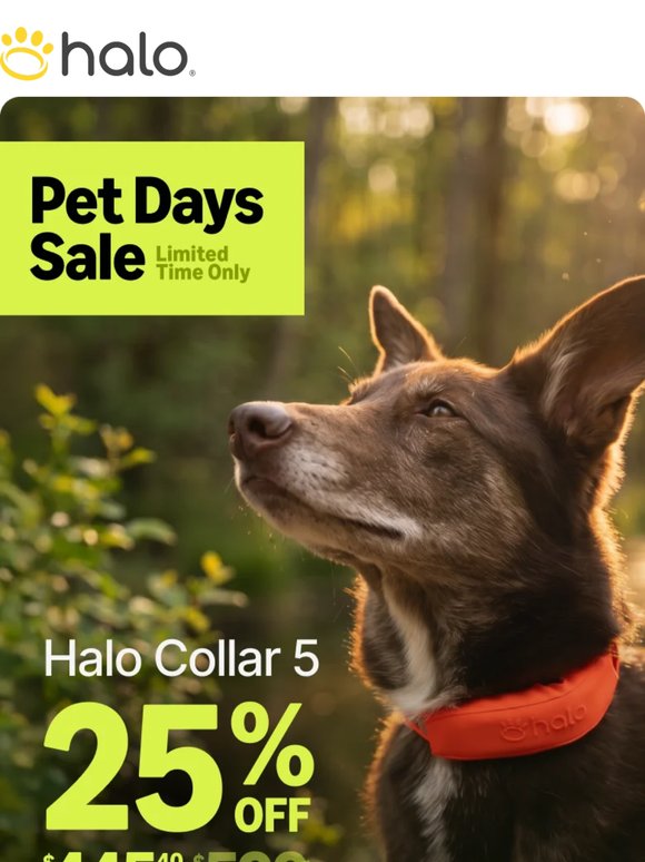 🚨 Pet Days Sale: get 25% off!