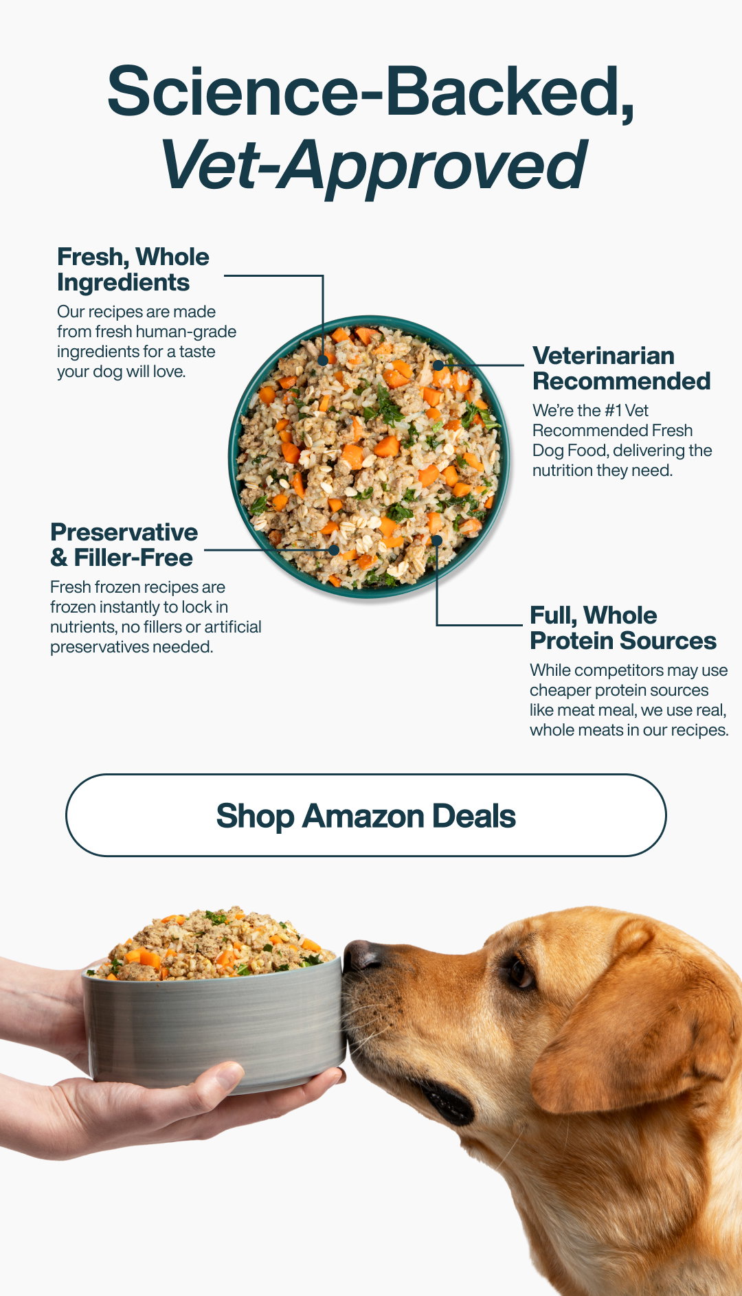 Shop Amazon Deals