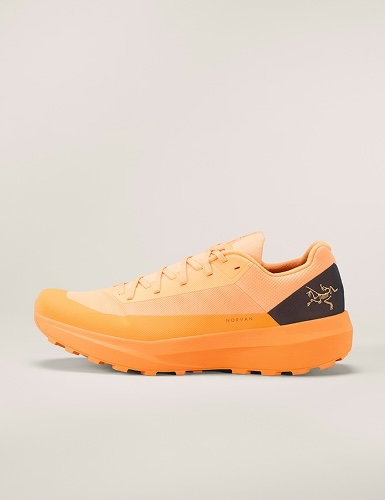 Norvan LD 4 Shoe Men's