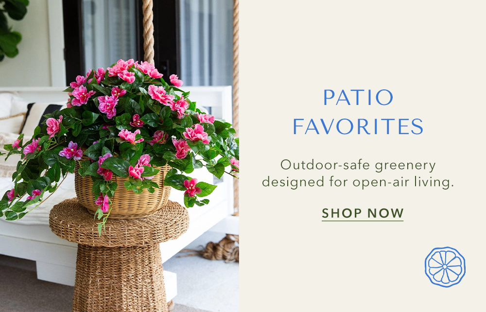 Patio Favorites