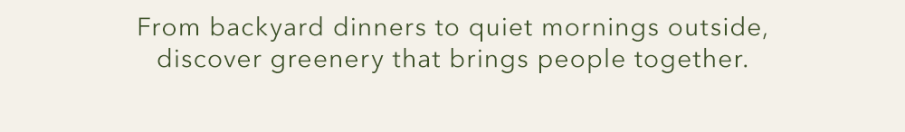 From backyard dinners to quiet mornings...