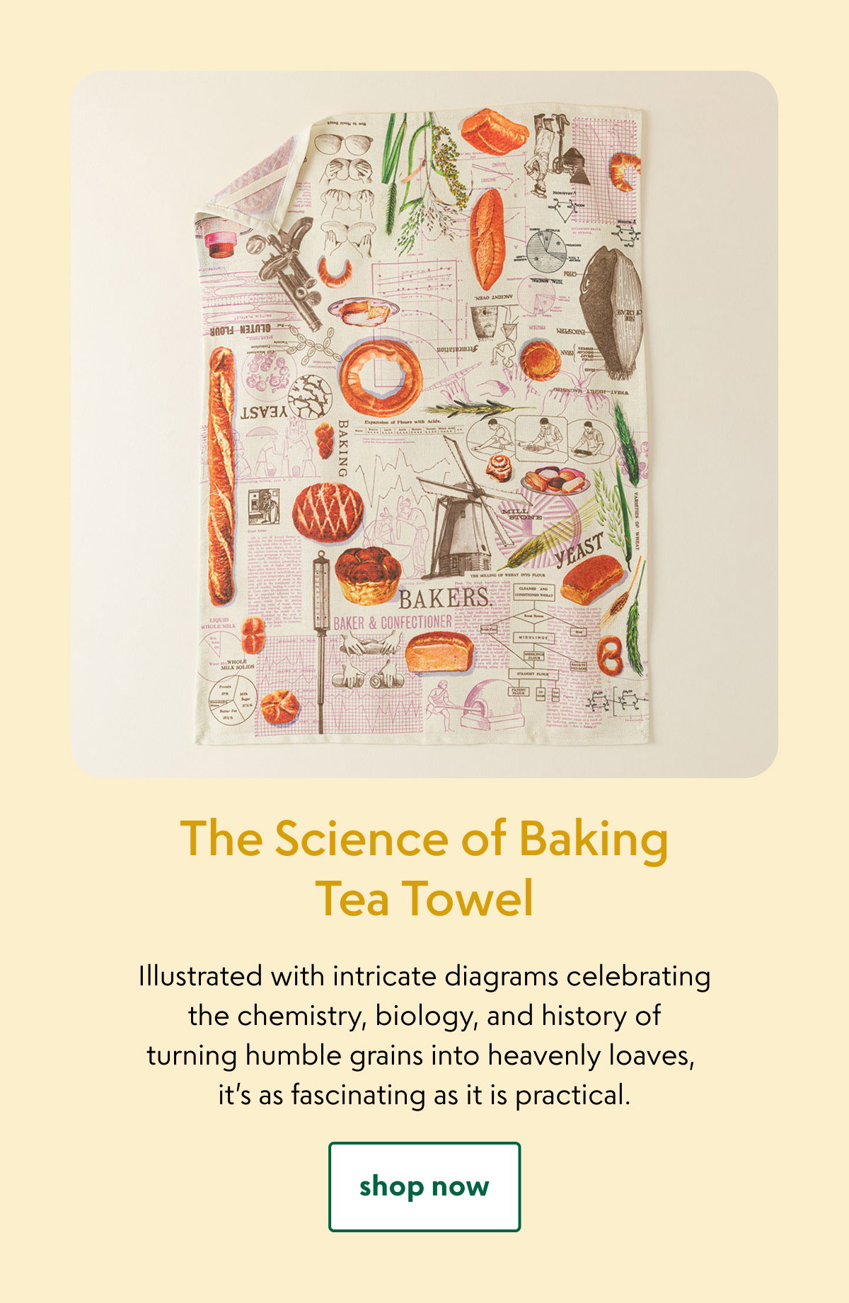 the-science-of-baking-tea-towel
