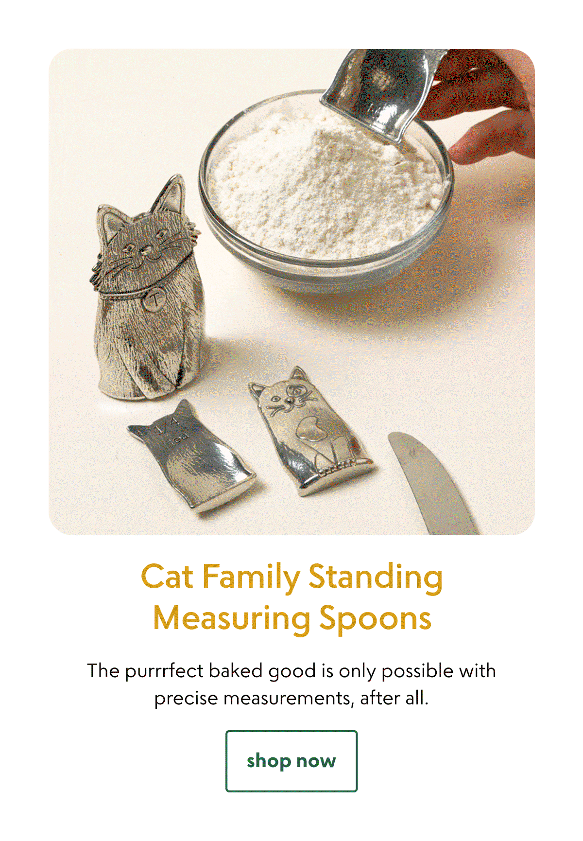 cat-family-standing-measuring-spoons